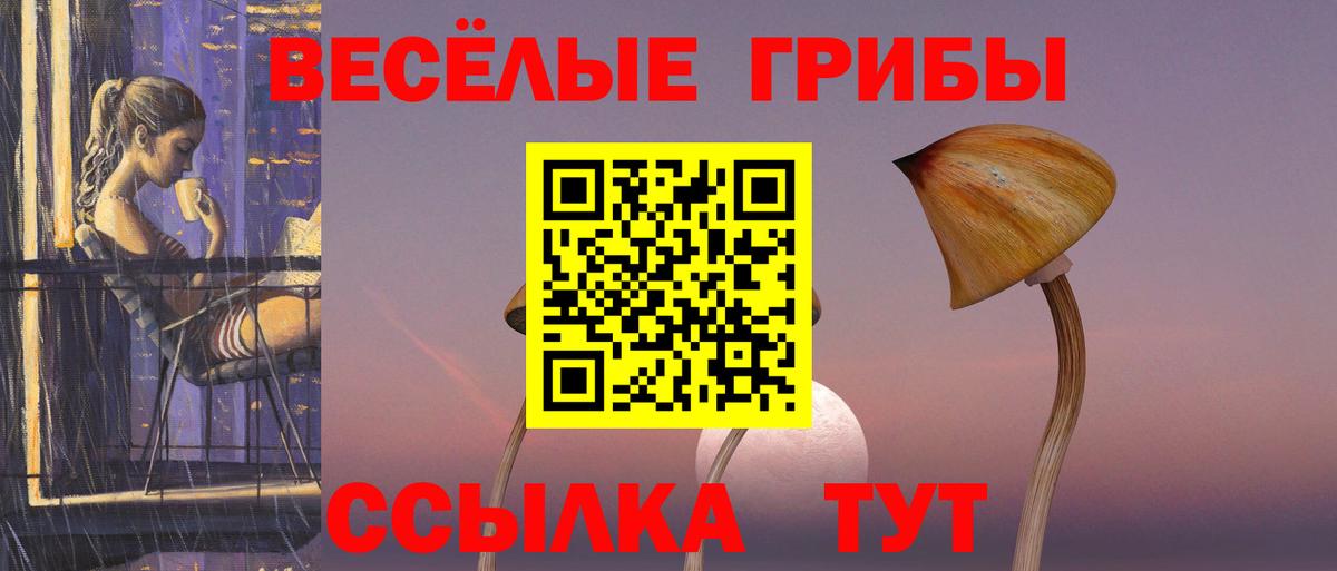 Псилоцибиновые грибы Cubensis Сосновый Бор